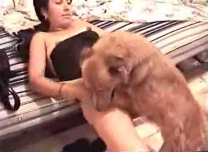 Video :Dog creampie the pussy of lady in a hot animal porno